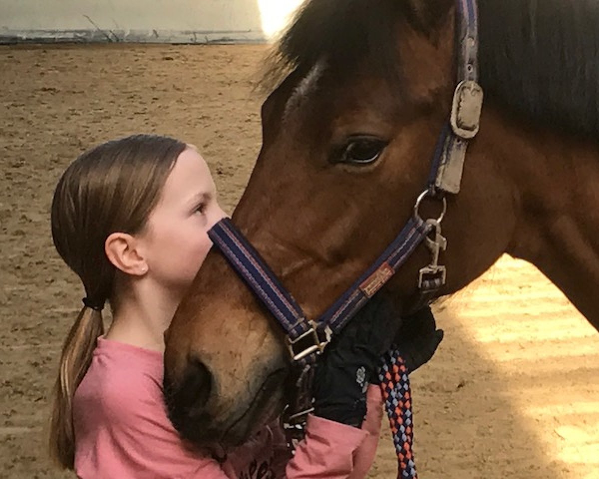 jumper Timms Sanssouci (German Riding Pony, 2011, from Nemax)