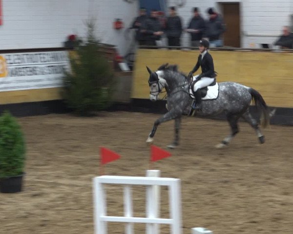 Reitturnier Heide 2021