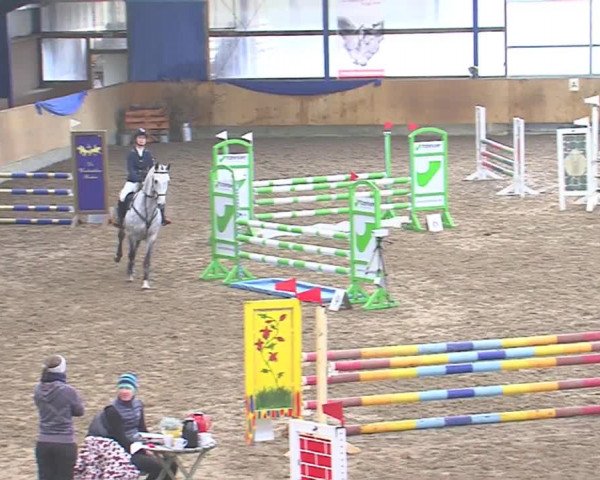 Hallenspringfestival Großenwiehe 2016