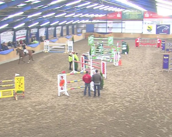 Hallenspringfestival Großenwiehe 2016