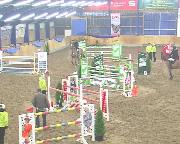 Hallenspringfestival Großenwiehe 2016