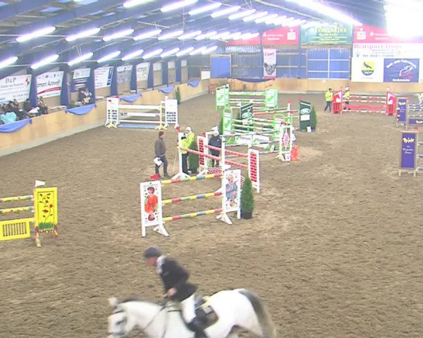 Hallenspringfestival Großenwiehe 2016