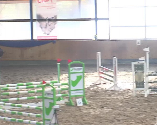 Hallenspringfestival Großenwiehe 2016