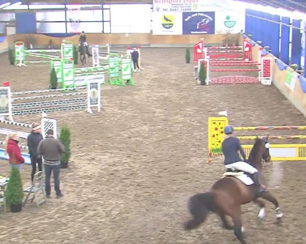 Hallenspringfestival Großenwiehe 2016
