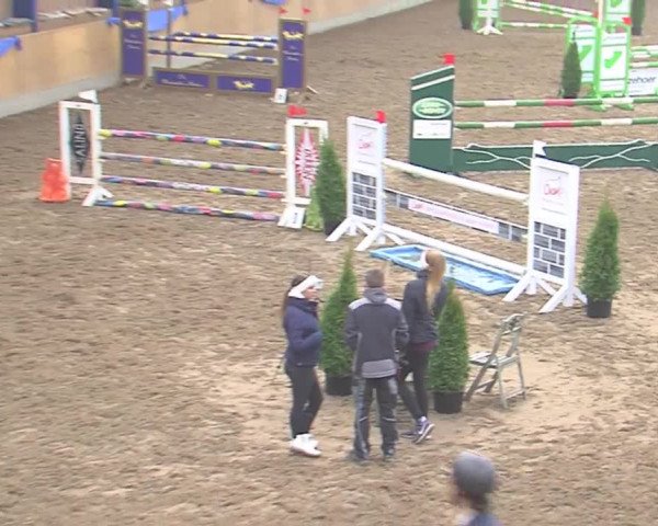 Hallenspringfestival Großenwiehe 2016