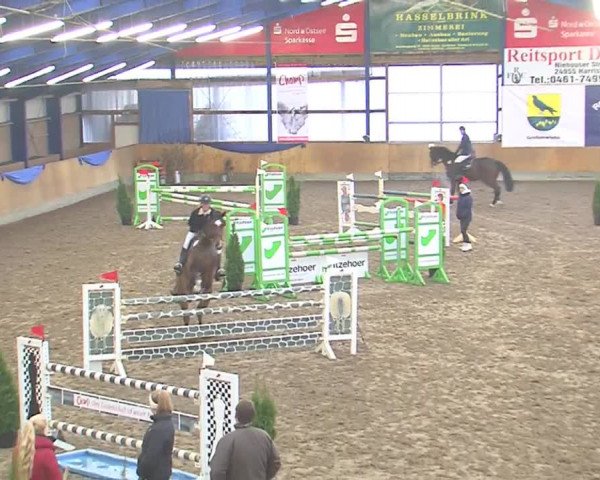 Hallenspringfestival Großenwiehe 2016