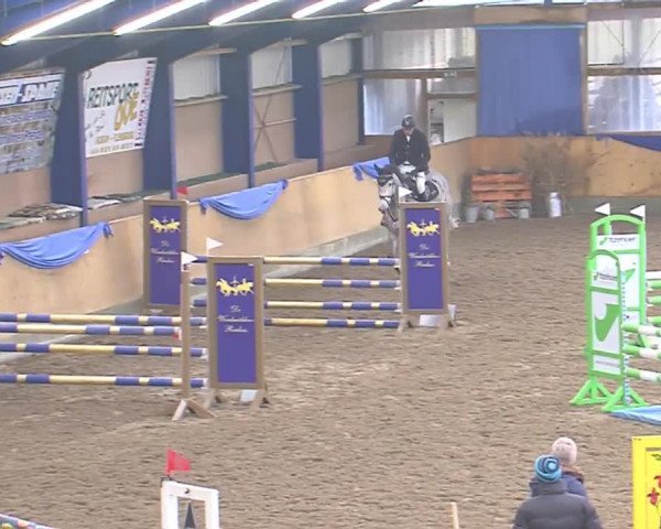 Hallenspringfestival Großenwiehe 2016