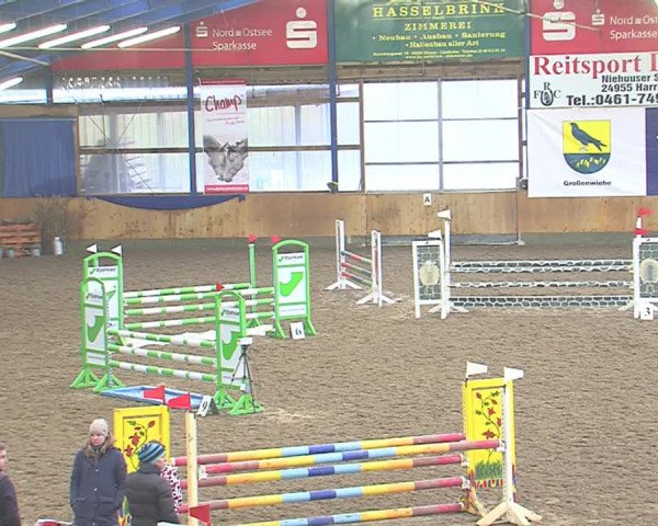 Hallenspringfestival Großenwiehe 2016