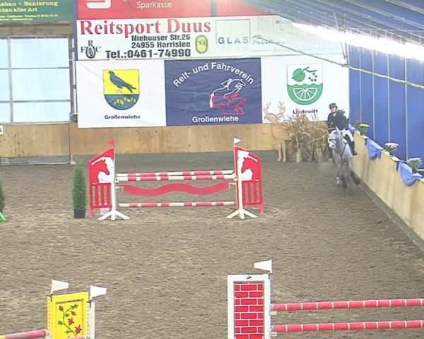 Hallenspringfestival Großenwiehe 2016