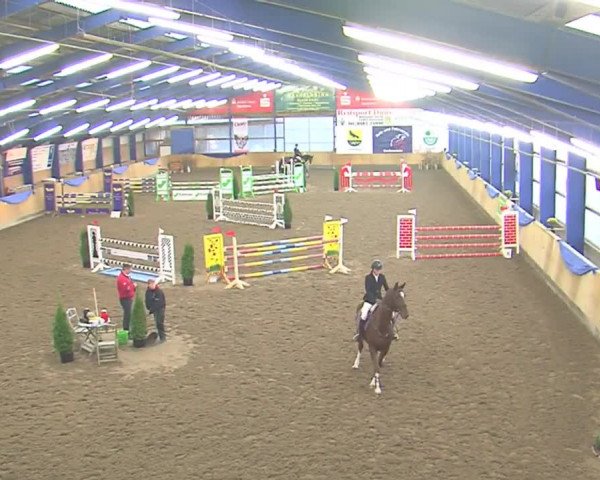 Hallenspringfestival Großenwiehe 2016