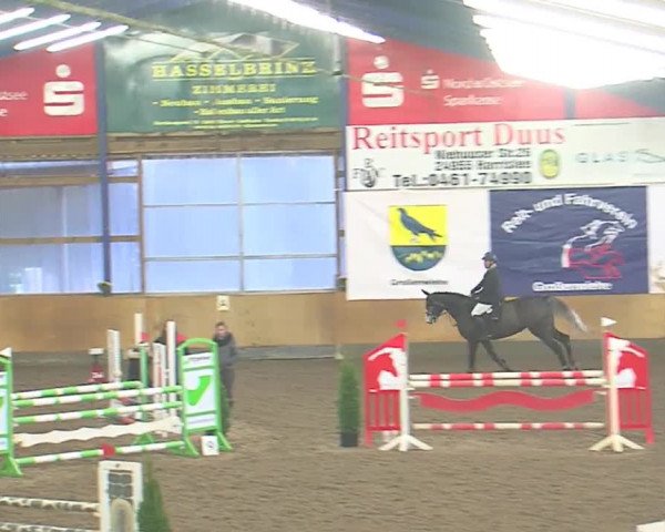 Hallenspringfestival Großenwiehe 2016
