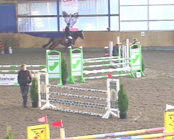 Hallenspringfestival Großenwiehe 2016