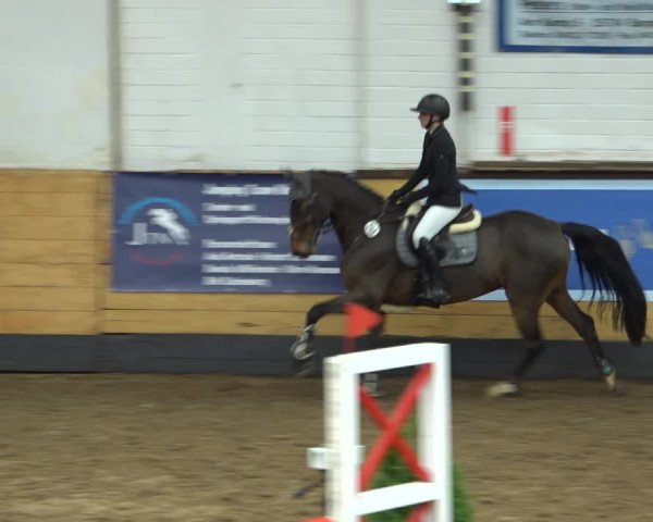 Reitturnier Heide 2021