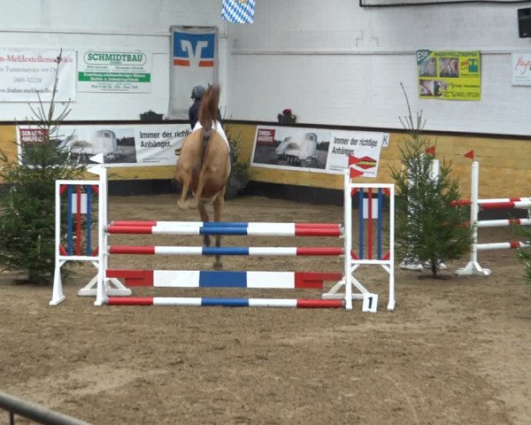 Reitturnier Heide 2021