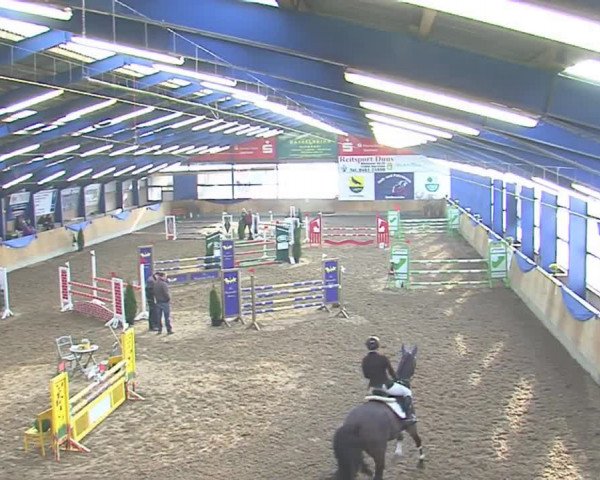 Hallenspringfestival Großenwiehe 2016