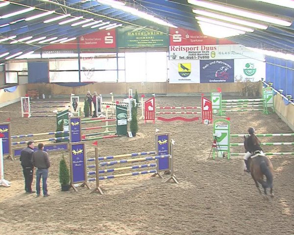 Hallenspringfestival Großenwiehe 2016