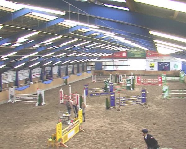 Hallenspringfestival Großenwiehe 2016
