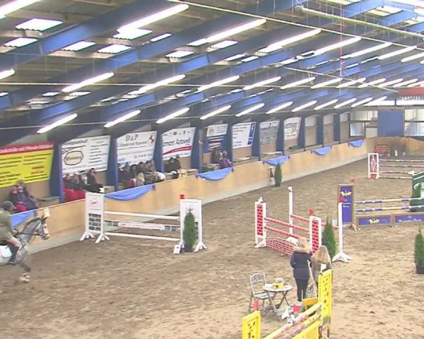Hallenspringfestival Großenwiehe 2016