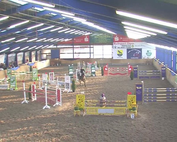 Hallenspringfestival Großenwiehe 2016