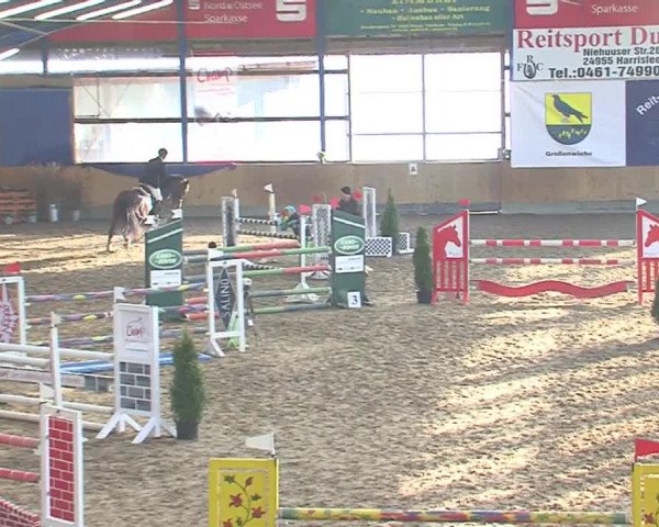 Hallenspringfestival Großenwiehe 2016