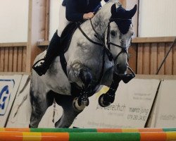 jumper Kaiser (Holsteiner, 2009, from Corrado I)