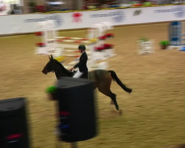 Christmas Jumping Trophy Prussendorf 2021