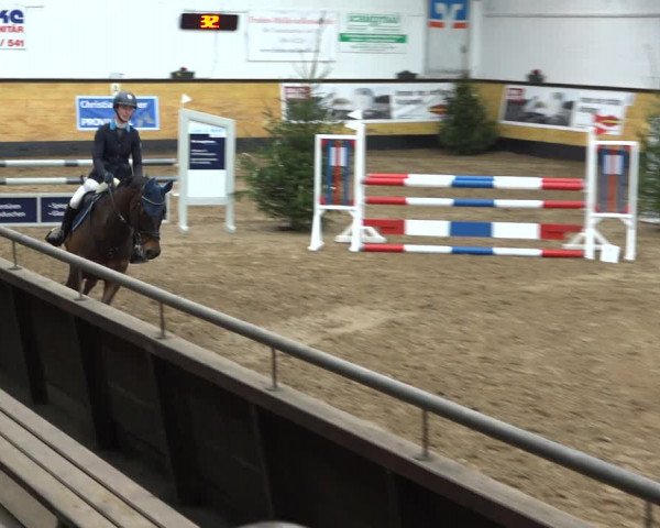 Reitturnier Heide 2021