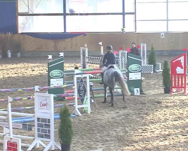 Hallenspringfestival Großenwiehe 2016