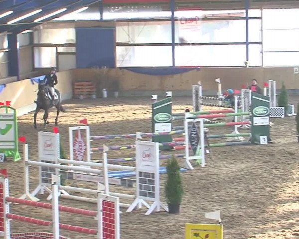 Hallenspringfestival Großenwiehe 2016