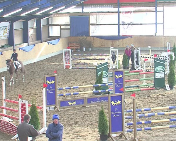 Hallenspringfestival Großenwiehe 2016