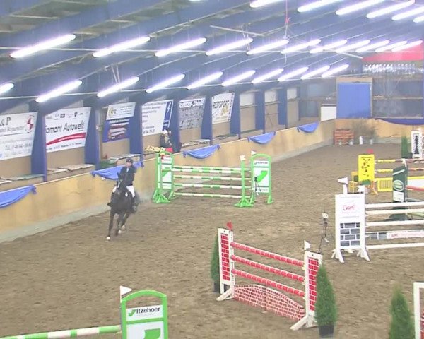 Hallenspringfestival Großenwiehe 2016