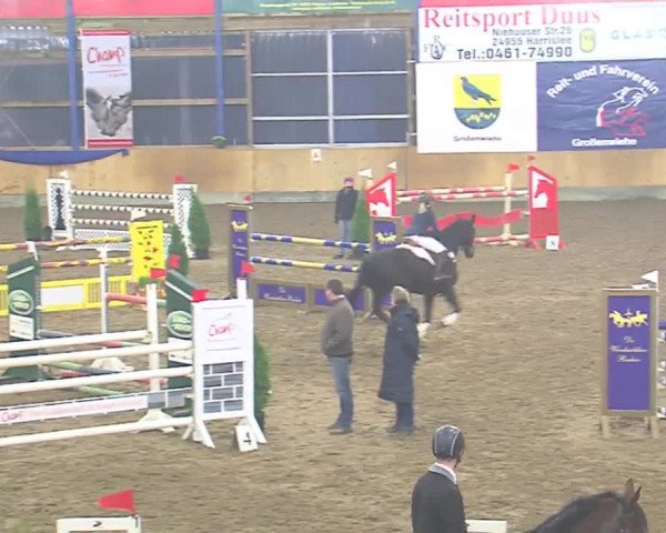 Hallenspringfestival Großenwiehe 2016