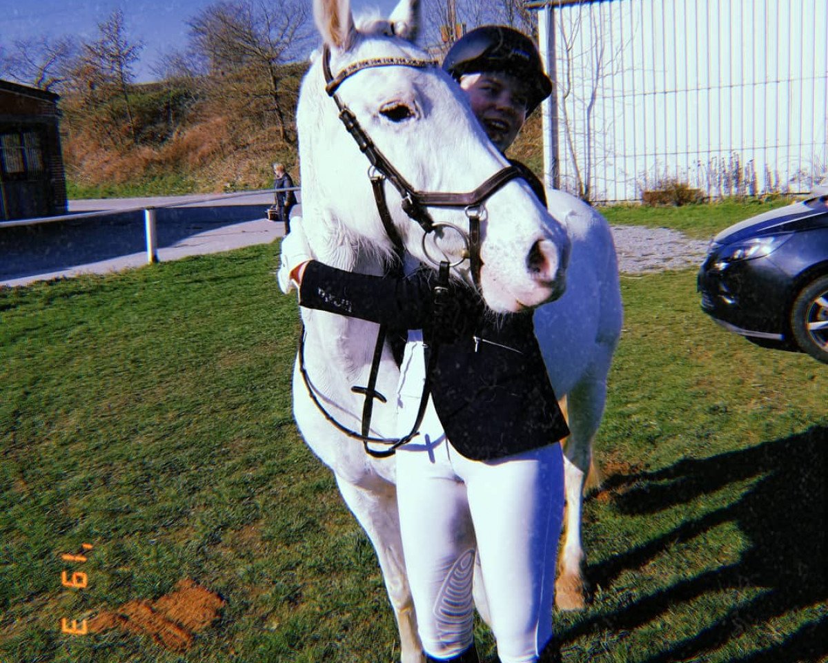 horse Silver Dollar 2 (Pony without race description, 2009)