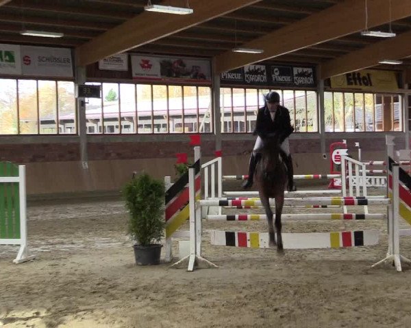 Late-Entry Havixbeck-Hohenholte 2016