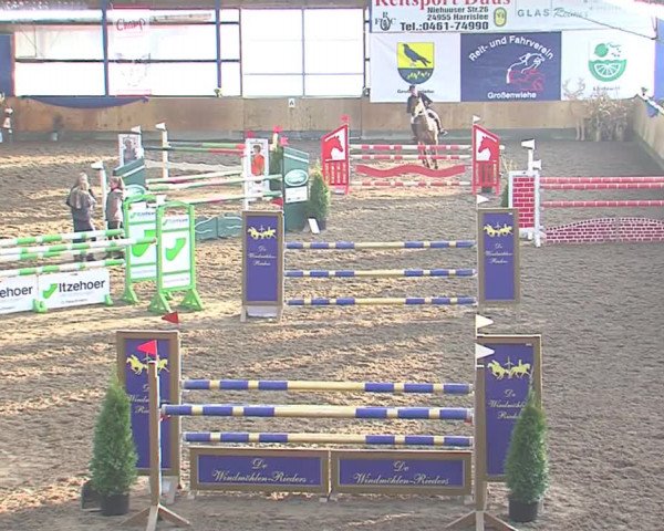 Hallenspringfestival Großenwiehe 2016
