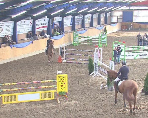 Hallenspringfestival Großenwiehe 2016