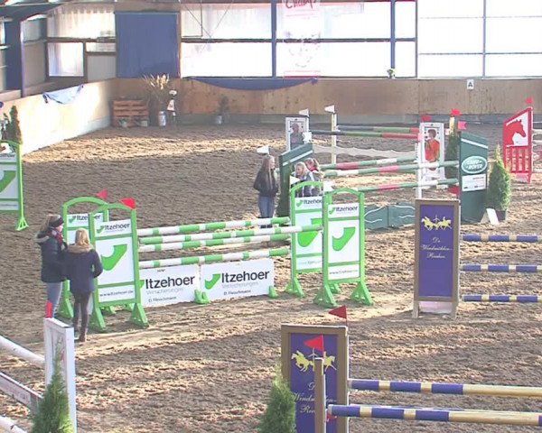 Hallenspringfestival Großenwiehe 2016