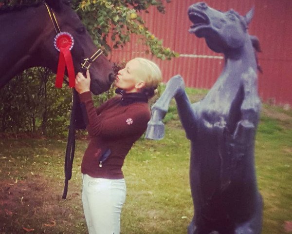 dressage horse Barbara 28 (Rhinelander, 2011, from Belissimo NRW) dressage horse Barbara 28 (Rhinelander, 2011, from Belissimo NRW)