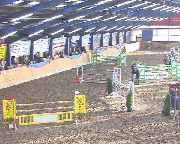 Hallenspringfestival Großenwiehe 2016