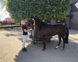 Zuchtstute Heitholm's Run Away (Deutsches Reitpony, 2014, von Ovaro)
