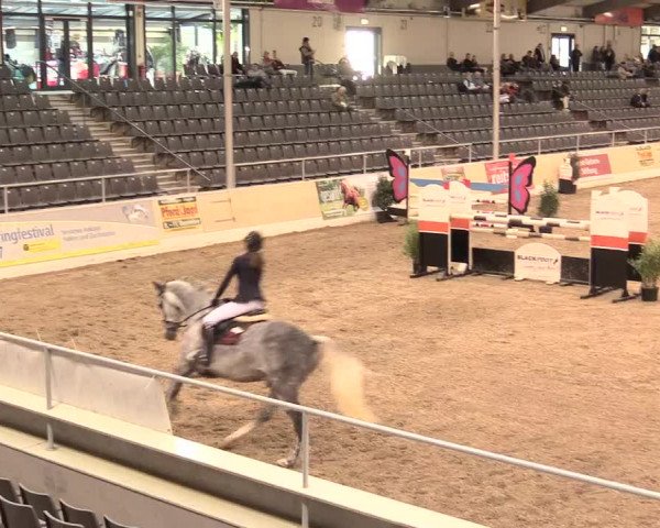 Jugend-Challenge Verden 2016