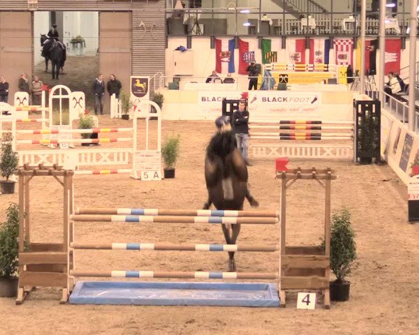 Jugend-Challenge Verden 2016