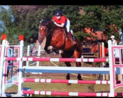 broodmare Anima S (Oldenburg, 2004, from Grandeur)