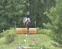 jumper Calimero 740 (Württemberger, 2012, from Cielito Lindo 2)