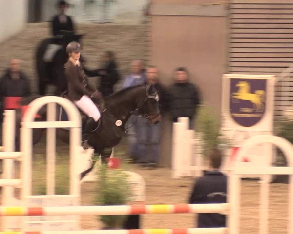 Jugend-Challenge Verden 2016