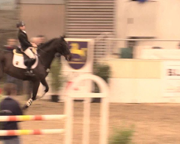 Jugend-Challenge Verden 2016
