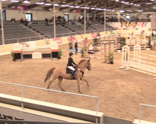 Jugend-Challenge Verden 2016