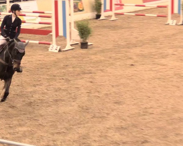 Jugend-Challenge Verden 2016