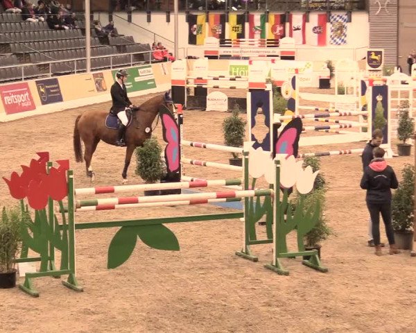 Jugend-Challenge Verden 2016