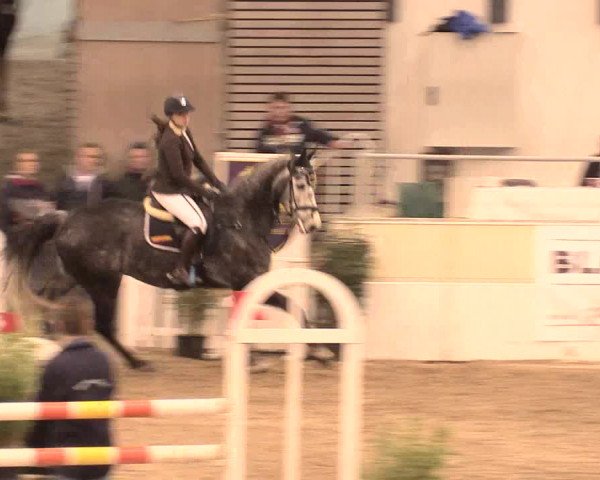 Jugend-Challenge Verden 2016